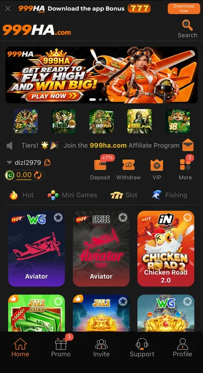 999HA Game