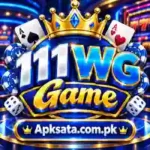 111WG Game